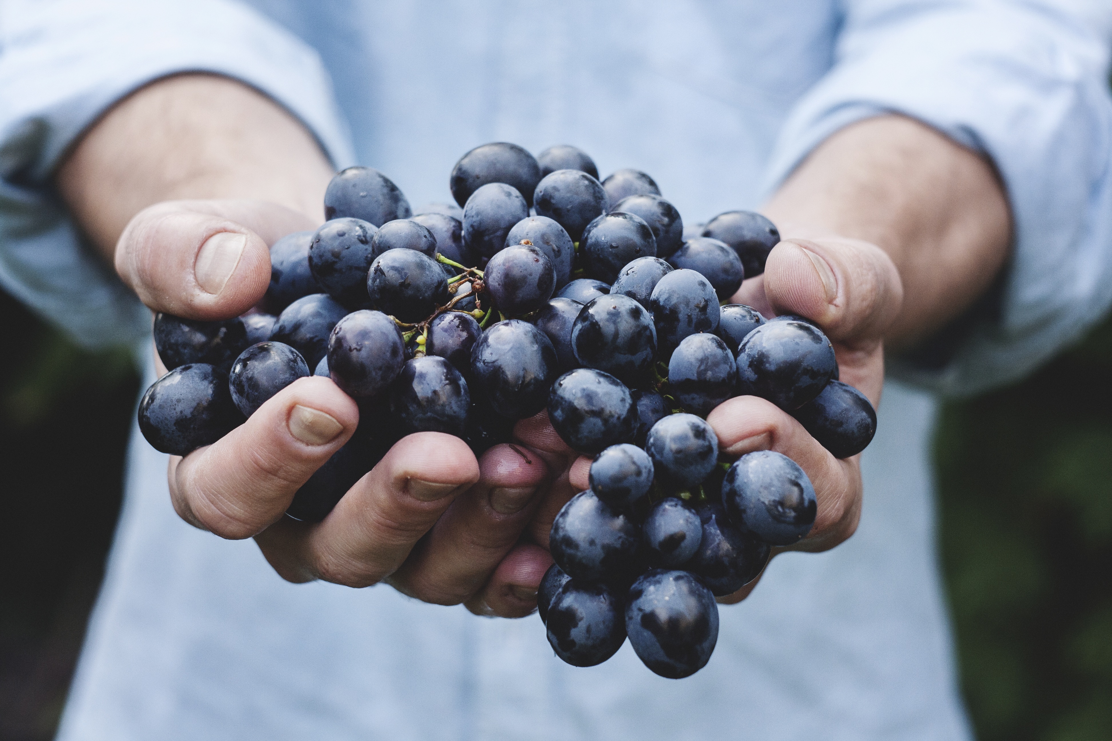 raw grape